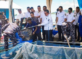 Wujudkan Ketahanan Pangan Nasional, Dankodaeral IX Gelar Panen Ikan di Keramba Jaring Apung