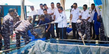 Wujudkan Ketahanan Pangan Nasional, Dankodaeral IX Gelar Panen Ikan di Keramba Jaring Apung